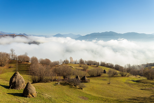 Rural  landscape in Transilvania Romania