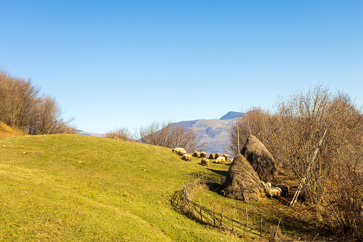 Rural  landscape in Transilvania Romania