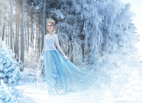 Beautiful young woman in fairy tale forest with long luxurious dress