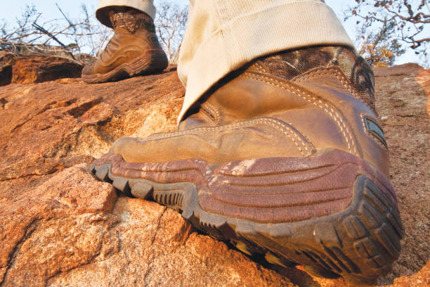 フレデフォート・ドームのストックフォト