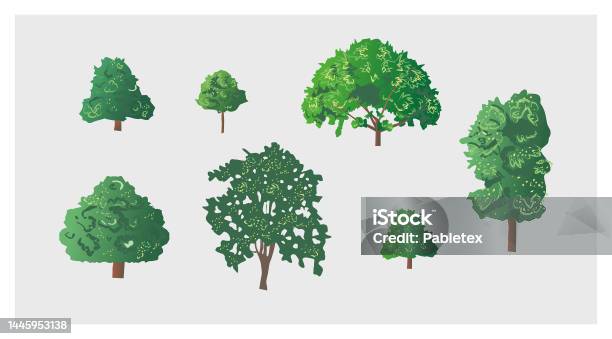 Tree Rown Shapes Collection Set Of Trees With Different Shapes Leaf And Sizes Nature ...