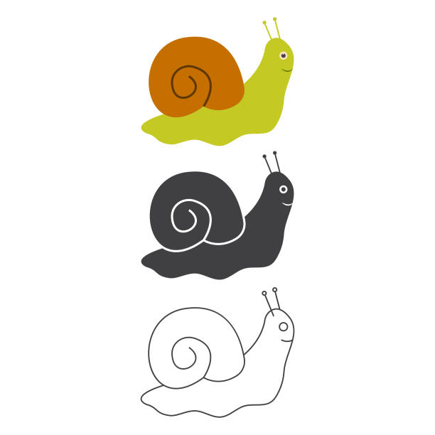 иконка улитки набор векторный дизайн. - snail slimy boredom cute stock illustrations
