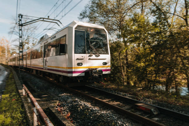 Passenger train in motion in a forest area