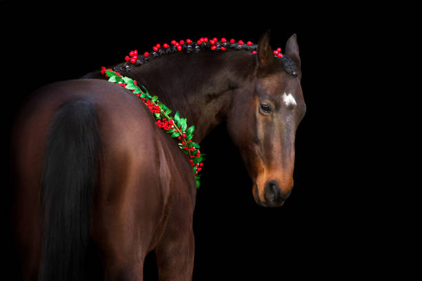 istock Horse in a christmas wreath on black background 1445970054