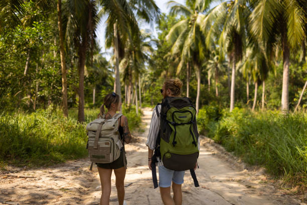 istock Caucasian couple walking through rainforest 1445970155
