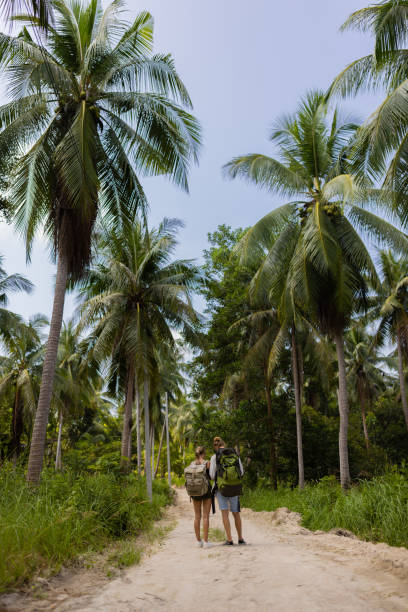 istock Caucasian couple walking through rainforest 1445970333