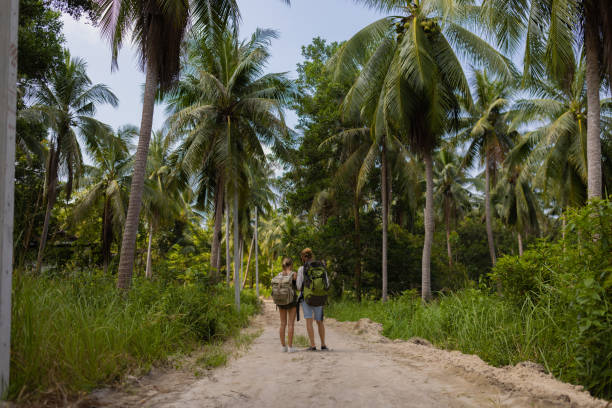 istock Caucasian couple walking through rainforest 1445970334