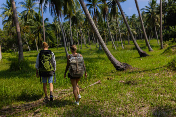 istock Caucasian couple walking through rainforest 1445970457