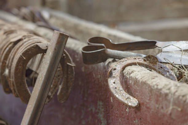red hot horseshoe on the anvil