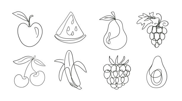 ilustraciones, imágenes clip art, dibujos animados e iconos de stock de juego de frutas de dibujo de una línea - fruit watermelon drawing doodle