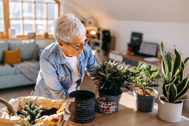 istock Taking care of my plants 1445981669