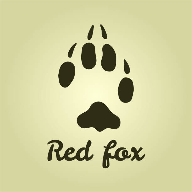 bildbanksillustrationer, clip art samt tecknat material och ikoner med fox tracks. fox's paw. the red fox. icon for hunters - red fox snow