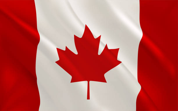 ilustraciones, imágenes clip art, dibujos animados e iconos de stock de ondeando la bandera de canadá. banner vectorial 3d - canadian football