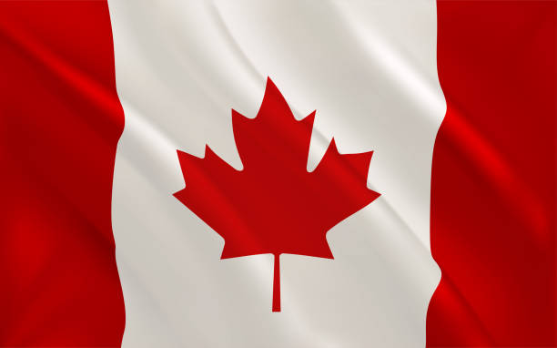 powiewająca flaga kanady. baner wektorowy 3d - canadian flag stock illustrations