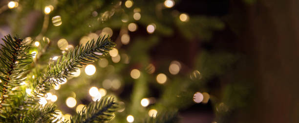 istock Christmas banner. Xmas tree and lights close up, copy space. 1445990053