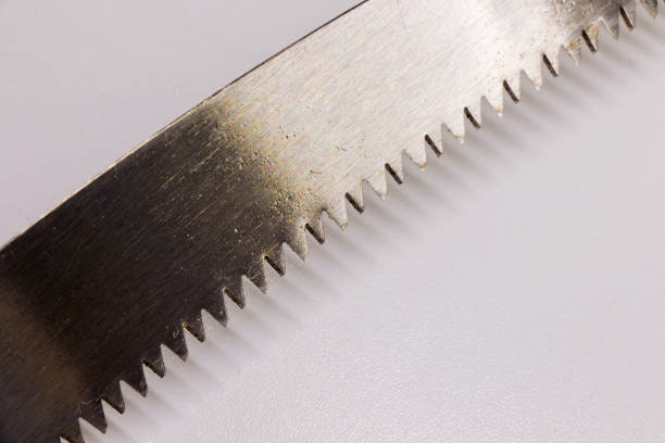 istock Wood saw head for woodwork tools 1445991754