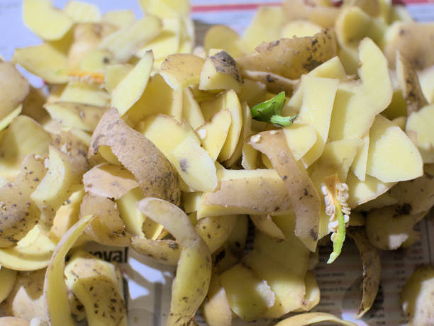 istock Pile of potato peelings 1445992990