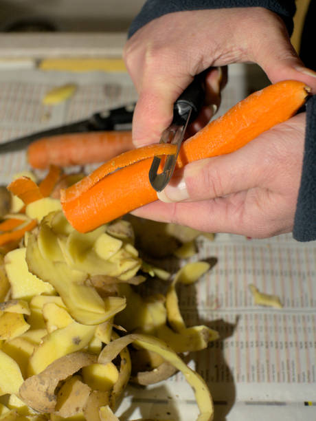 皮むき器でニンジンの皮をむく - root vegetable raw potato human skin root ストックフォトと画像