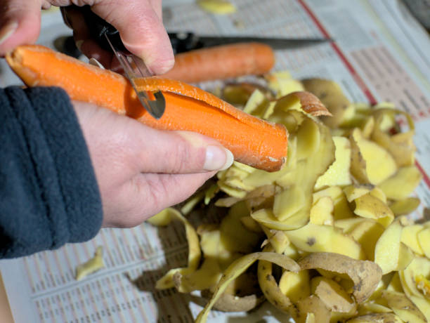 皮むき器でニンジンの皮をむく - root vegetable raw potato human skin root ストックフォトと画像