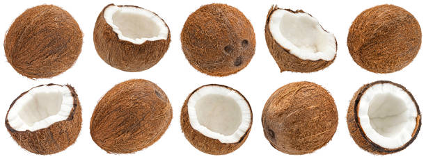 istock Coconuts isolated on white background, full depth of field 1445993159