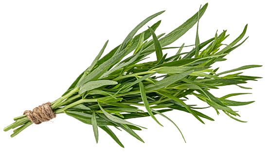 Tarragon bunch isolated on white background with clipping path, full depth of field