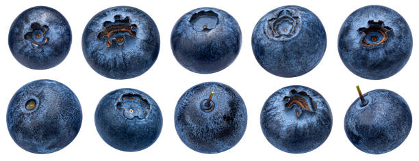 Blueberry isolated on white background with clipping path