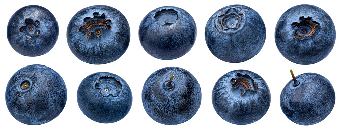 Blueberry isolated on white background with clipping path. Full depth of field