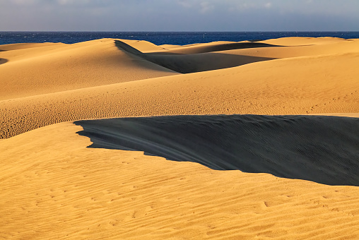 Dune on the beach of Warnemuende on the German Baltic Sea coast