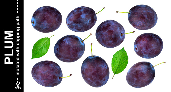 Plums isolated on white background with clipping path, collection