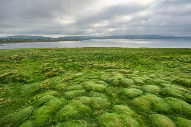Pattern of green grass pads at Downpatricks Head\nin the Republic of Ireland