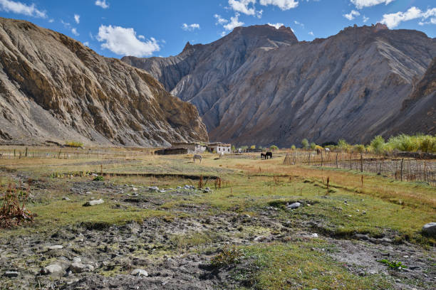 istock Lower Hankar village in Markha valley, Ladakh 1445995000