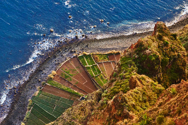 Madeira View of the beach and sea from Cabo do Girao on Madeira. funchal stock pictures, royalty-free photos & images