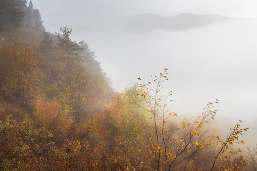 Mountain rocky landscape in autumn foggy morning. The Podskalsky Rohac hill in Strazov Mountains Protected Landscape Area, Slovakia, Europe.