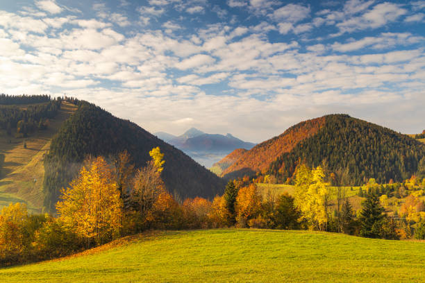 istock Mountain rural landscape in an autumn morning. 1446001067