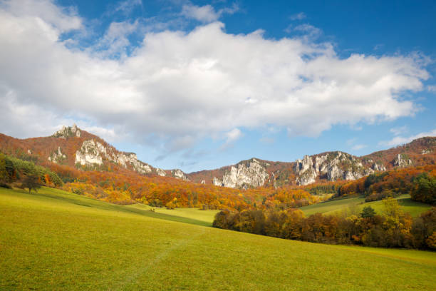 istock Autumn mountain landscape with a rocky hills. 1446001266