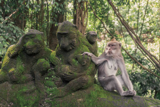 istock Monkey lays hand on statue's head at Ubud Sacred Monkey Forest 1446001950