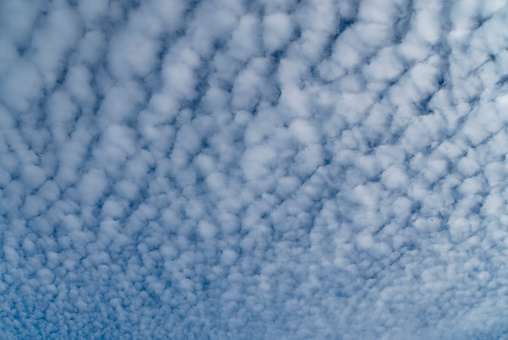 White mackerel clouds against blue sky in daylight