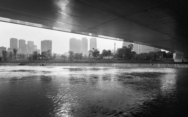 Black and white modern urban architecture