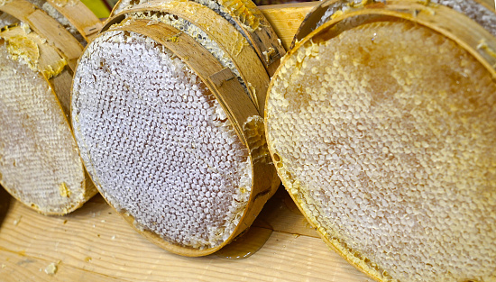 Magical honeycomb close up, Honey harvesting, honey picking. Organic honeycomb (Turkish Karakovan Honey)  Tahta petek içinde karakovan çıta balı
