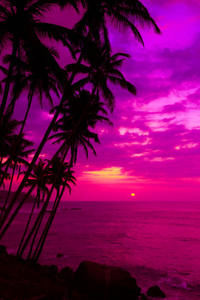 istock Vivid pink sunset on tropical beach with coconut palm trees 1446015072