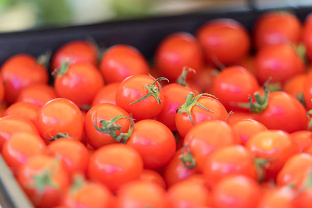 Background of tomatoes in a row