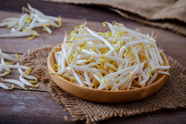 istock Bean sprouts on wooden plate 1446019667