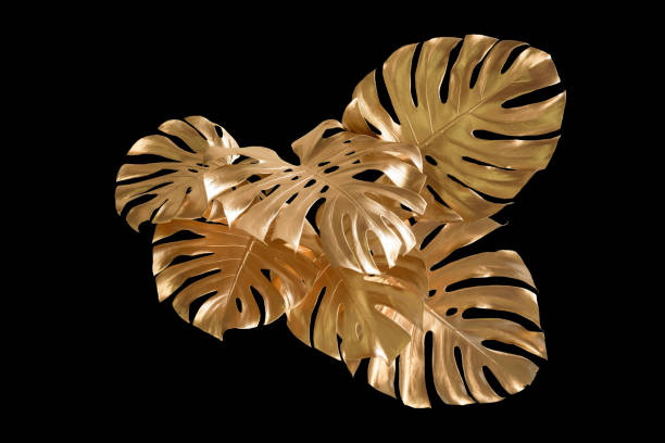 istock Tropical leaves gold and black, can be used as background(Monstera,palm,coconut)fernclipping path 1446021792