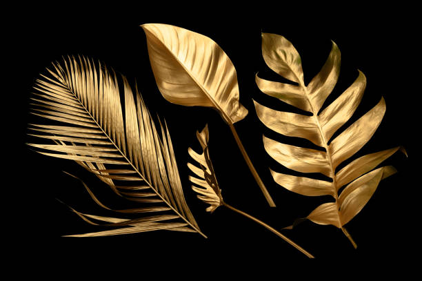 istock Tropical leaves gold and black, can be used as background(Monstera,palm,coconut)fernclipping path 1446021917