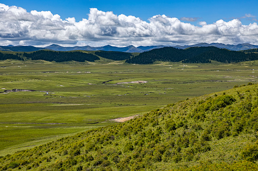 Panoramic view of grasslands in Zoige (Ruoergai) county, Ngawa (Aba) Tibetan and Qiang Autonomous Prefecture in Sichuan, China