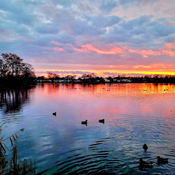 istock Cloudy sunrise at the lake 1446025344