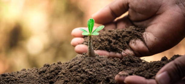 istock Earth day concept or protection environment. Renewable energy for sustainable. 1446025964