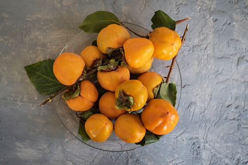 Organic peaches on peach tree in an orchard on a summer day