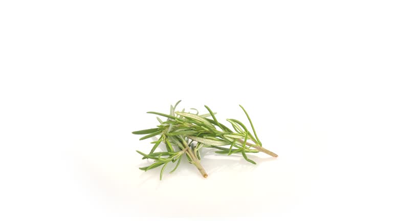 Rosemary spinning on white background