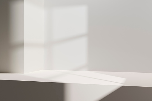 Realistic 3d rendering of white wall with shelf and window light.